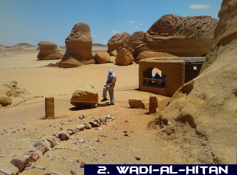 Wadi-Al-Hitan