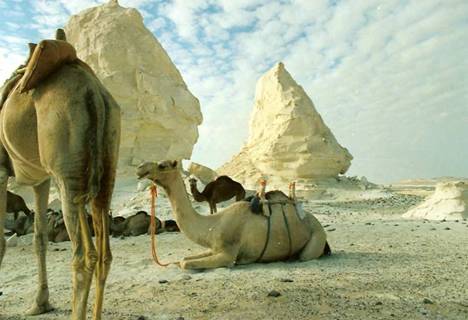Safari nel deserto in Egitto