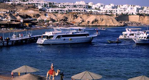 Things to do in Sharm
