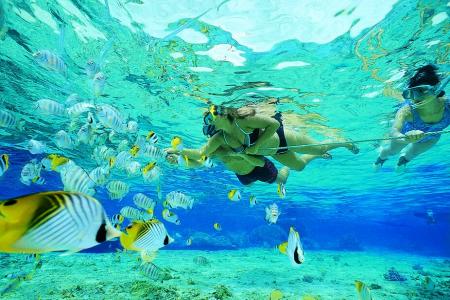 Scuba Diving Red Sea
