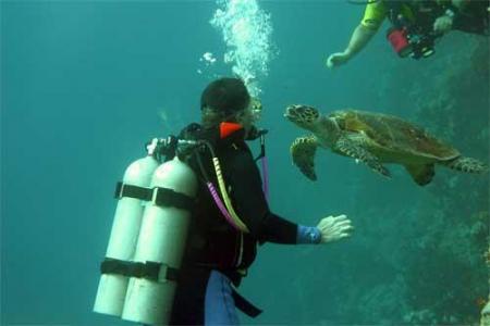 Learn to Dive in Sharm El Sheikh